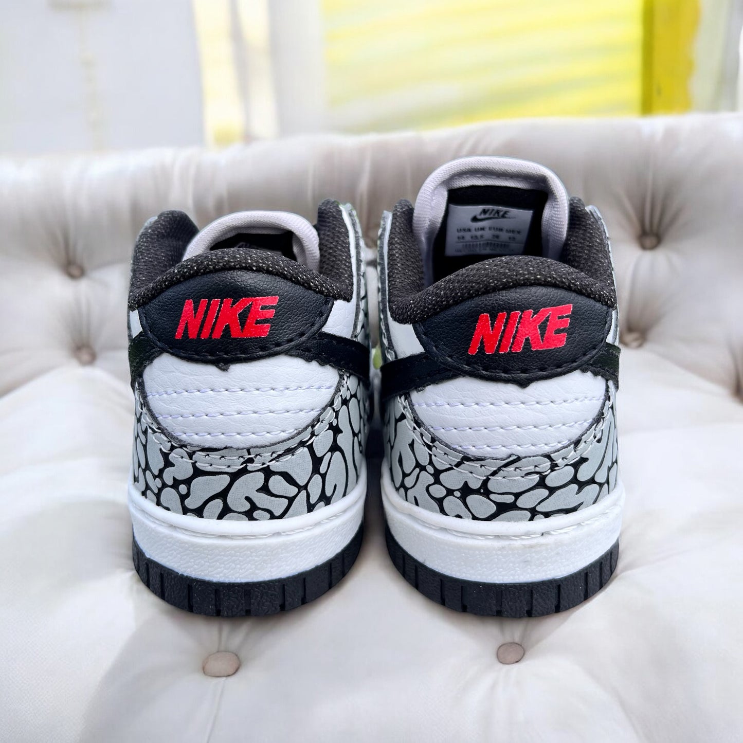 Particule Nike Dunk