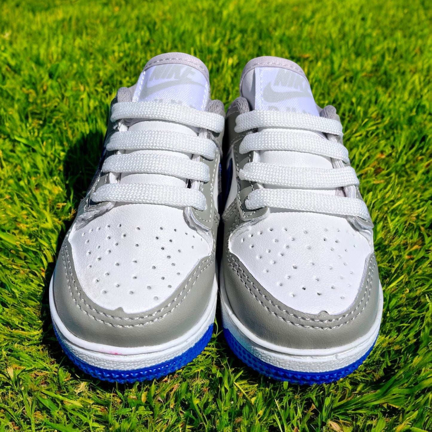 Nike Dunk Little Sky